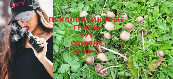 стафф Белоозёрский